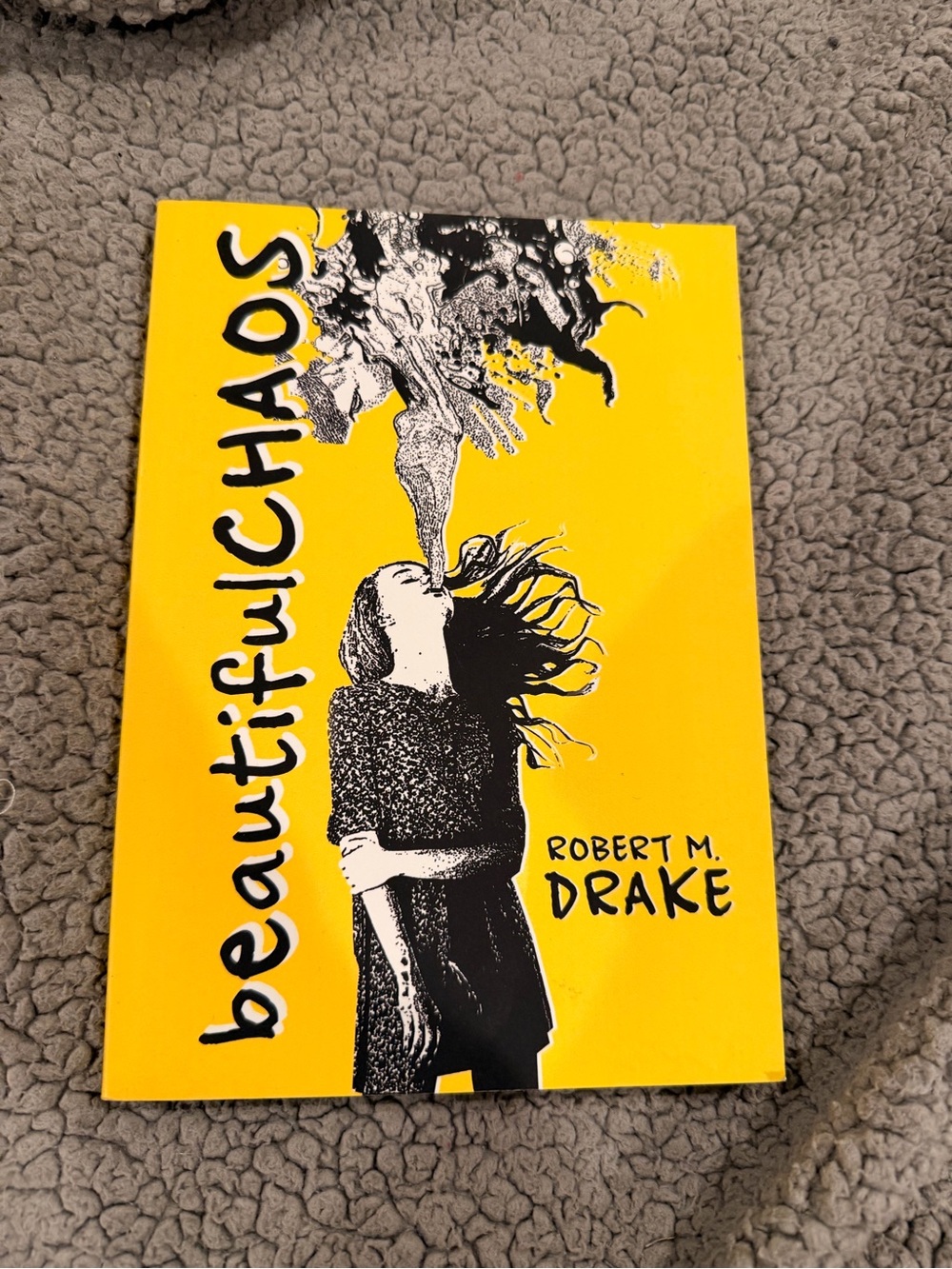 Beautiful Chaos by Robert M. Drake